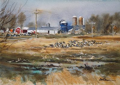 Spring Morning