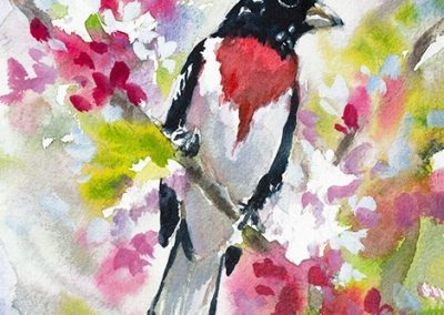 Rose-Breasted Grosbeak