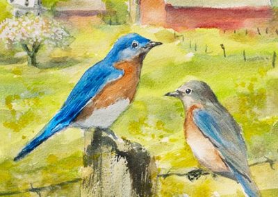 Spring's Delight - Bluebirds